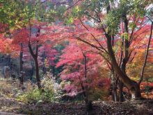 紅葉エボオフ会