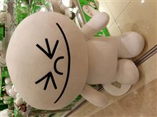 お休みです(^-^)