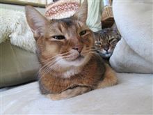 角度が変われば写真は変わるｗｗｗ