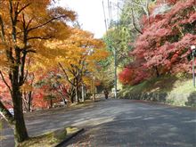 香嵐渓からの帰路の風景はこんな感じ