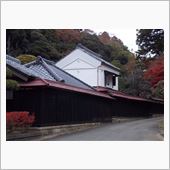 近所の紅葉
