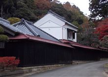近所の紅葉