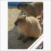 また水族館に行ってきました