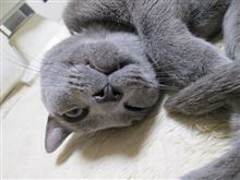 濃いのほしい～の～♡