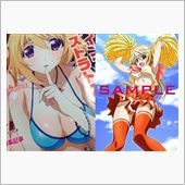 【IS 〈インフィニット・ス ...