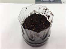 ECO米栽培(^^)①