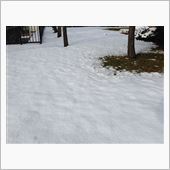 ついに雪つもる。