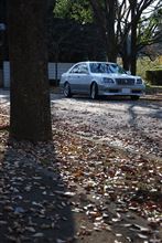 甘太郎号 in the late autumn