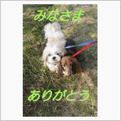 みなさまありがとう