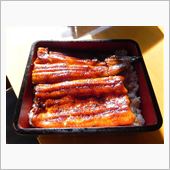 お昼御飯には、うなぎが最高な ...