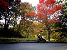 廃校紅葉ナチュラルハイ