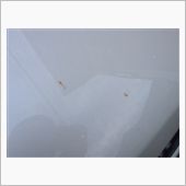 すずめのフンに困っています( ...