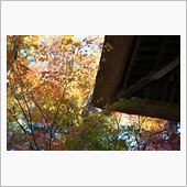 2013年秋　錦繍の平林寺　 ...