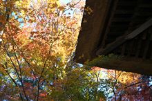 2013年秋　錦繍の平林寺　2/2