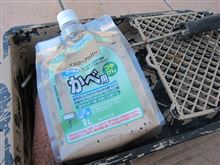 塀をDIYで塗りなおし