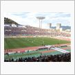 サンフレッチェ広島地元最終戦