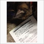 義援金の行方…