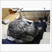 テツくん？