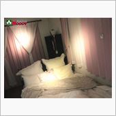 骨折！　再起不能・・・　現役 ...