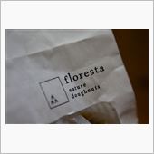 floresta