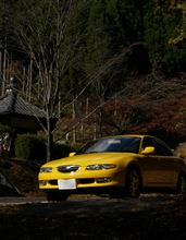 ユーノス500 紅葉の京都へドライブ