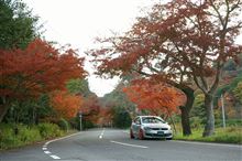 2013.11.30 朝練・紅葉撮影～根来寺～