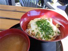 チーズ丼！