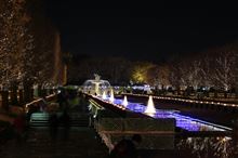 昭和記念公園イルミネーション２０１３