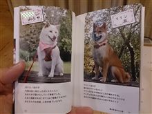 柴わんこ会アルバム～(^o^)…。