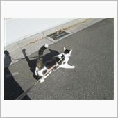 青空の下、空とお散歩