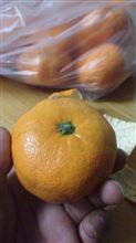 ご当地もん