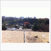 今日は時間も無いのに…。