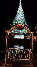 クリスマスファンタジーに行ってきました！