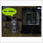 サムイヨー(&gt;_&amp;lt;)