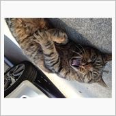 おはようございますm(_ _ ...
