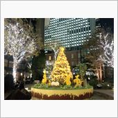 夜は丸の内仲通りで…