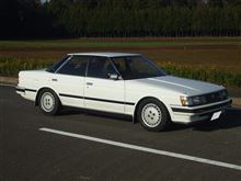 マークⅡ一周年