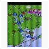 暖かだった♫　　　12/6（ ...