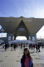 TMS 2013