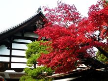 京都の紅葉はパーク＆ライドで