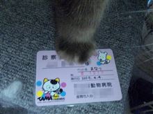 また病院へ・・・・