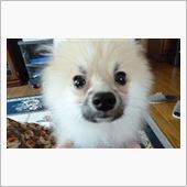 親バカが続きます・・・