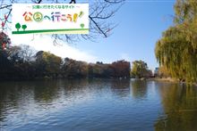 MINIで散歩、石神井公園