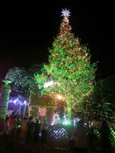 クリスマスツリー