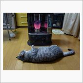 やっぱ灯油だわぁ～