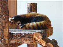 茶臼山動物園。