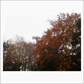 今週も頑張って、紅葉とパン。 ...