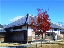 今週も頑張って、紅葉とパン。木曜日。