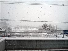 白い悪魔が今年も来ました（涙）