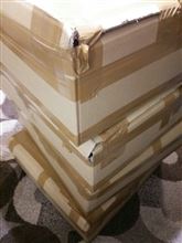 来ました!!